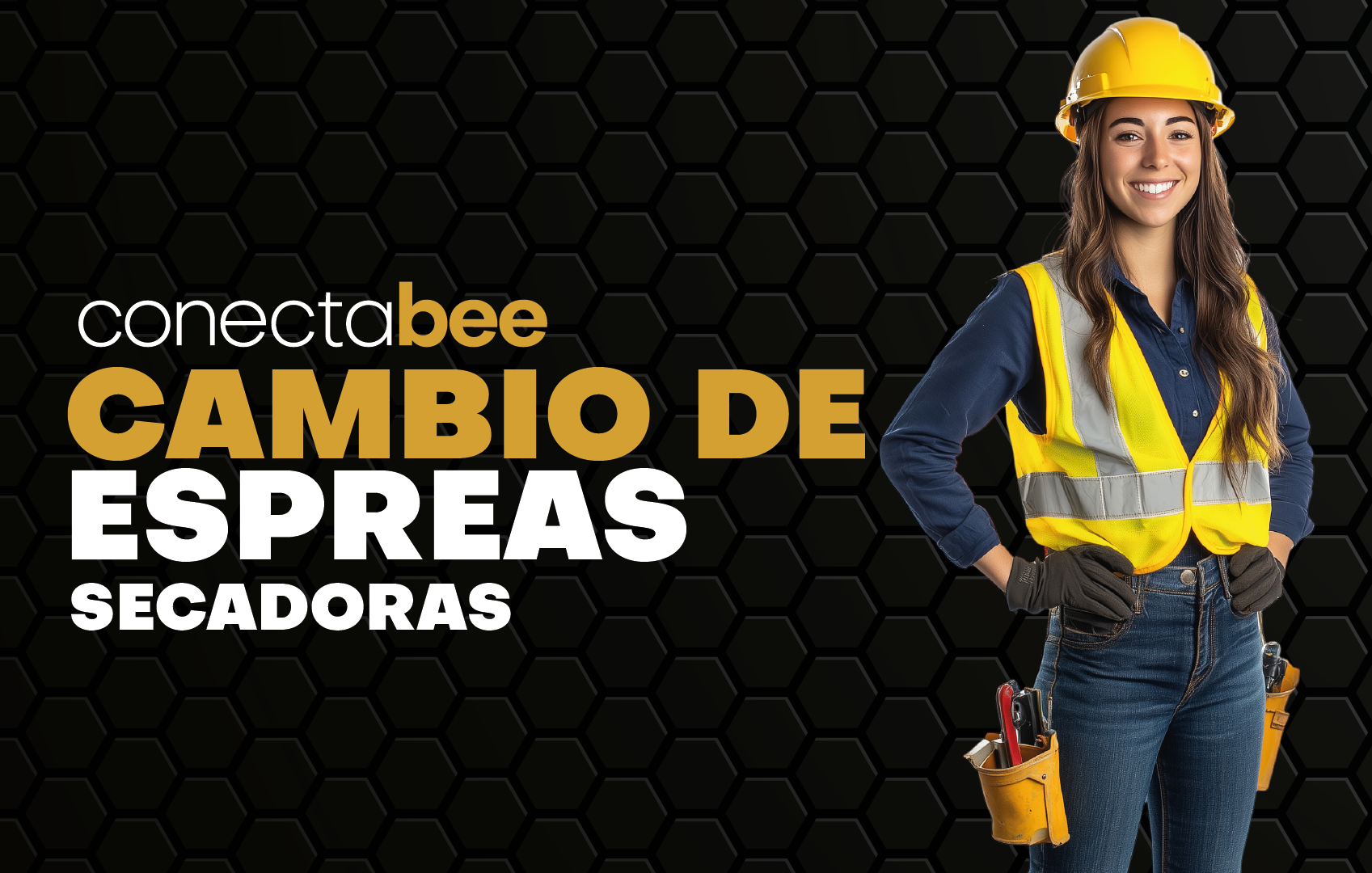 Miniatura del curso